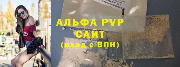 прущие грибы Магас