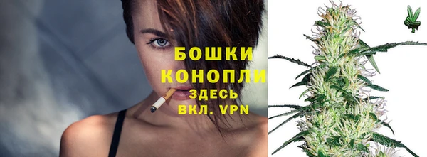 прущие грибы Магас