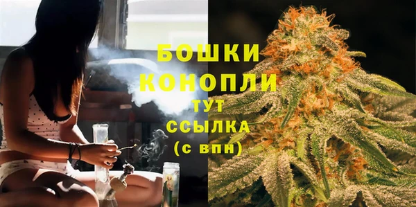 прущие грибы Магас