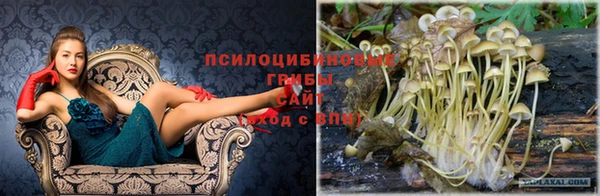 МДМА Майский