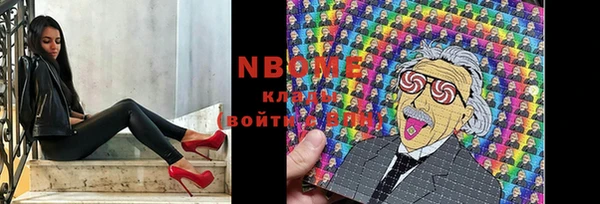 прущие грибы Магас