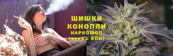 прущие грибы Магас