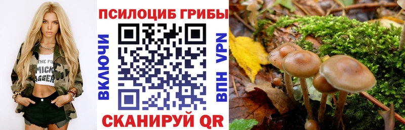 Псилоцибиновые грибы Psilocybine cubensis  Южа 
